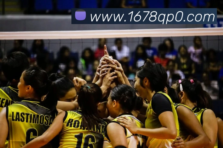 天天棋牌品牌故事